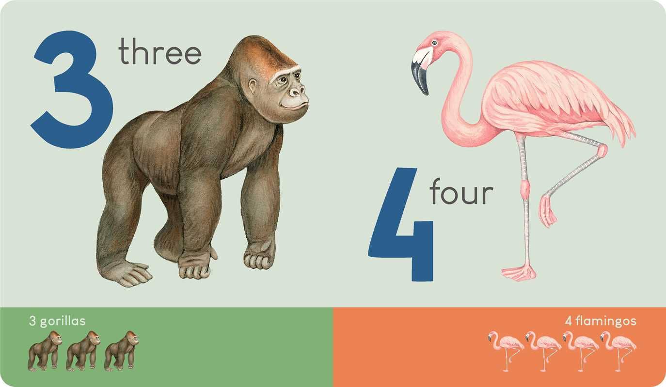 Carry Me: Animal Numbers Board Book
