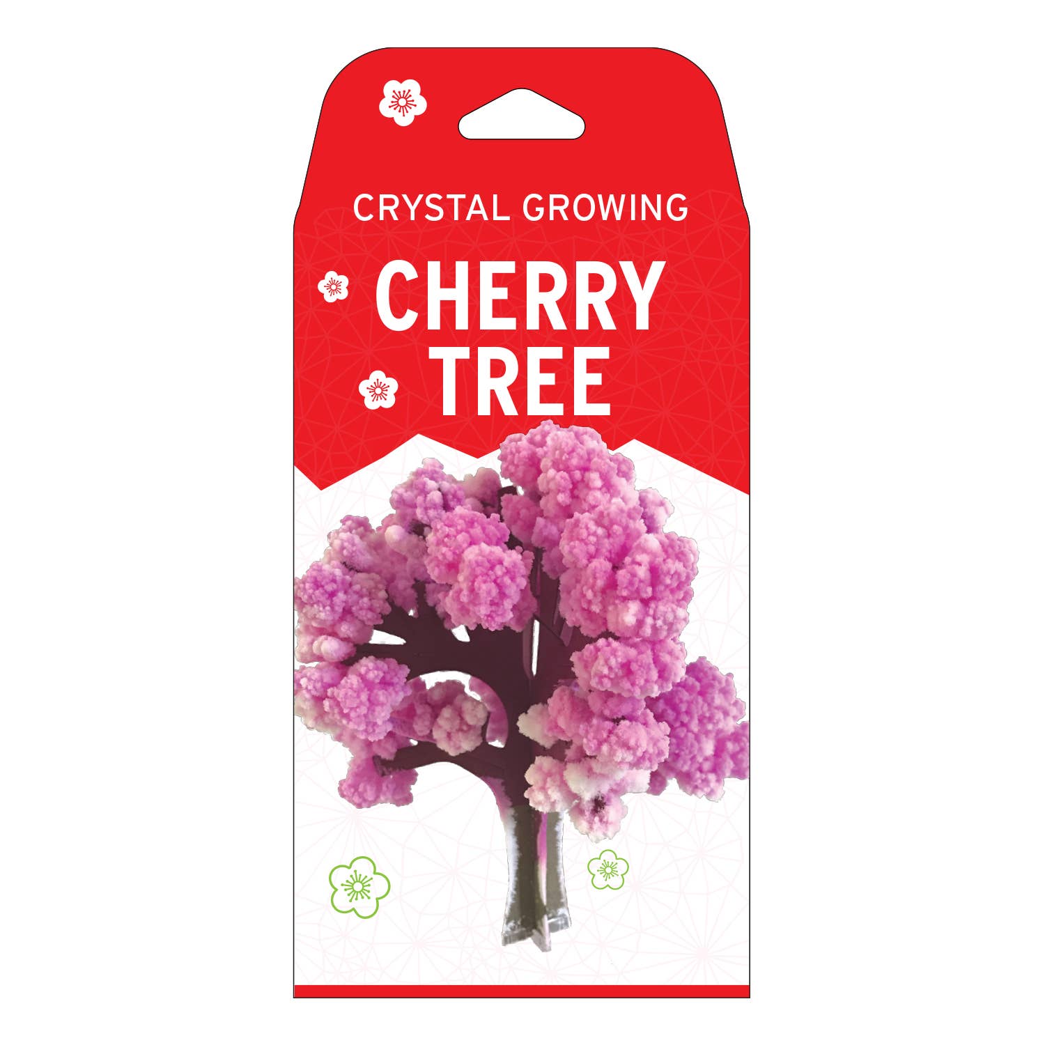 Crystal Growing Cherry Tree |Β
Craft Kit Science Kit