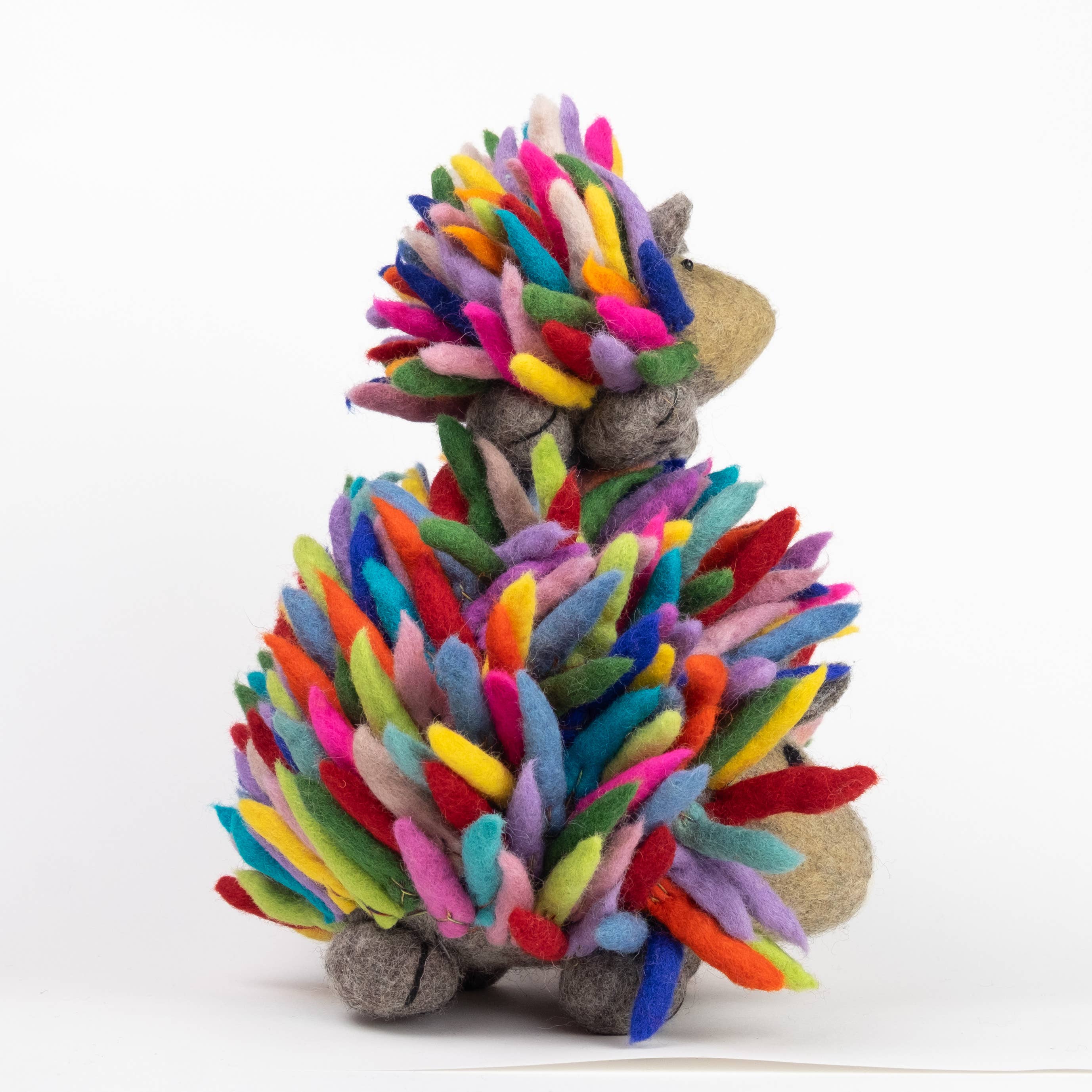 Hedgehog Small Rainbow