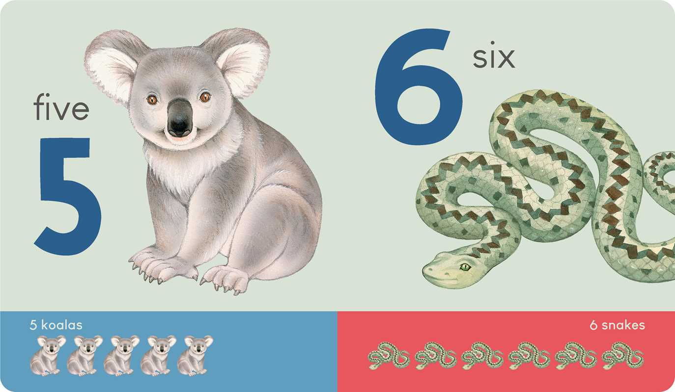 Carry Me: Animal Numbers Board Book