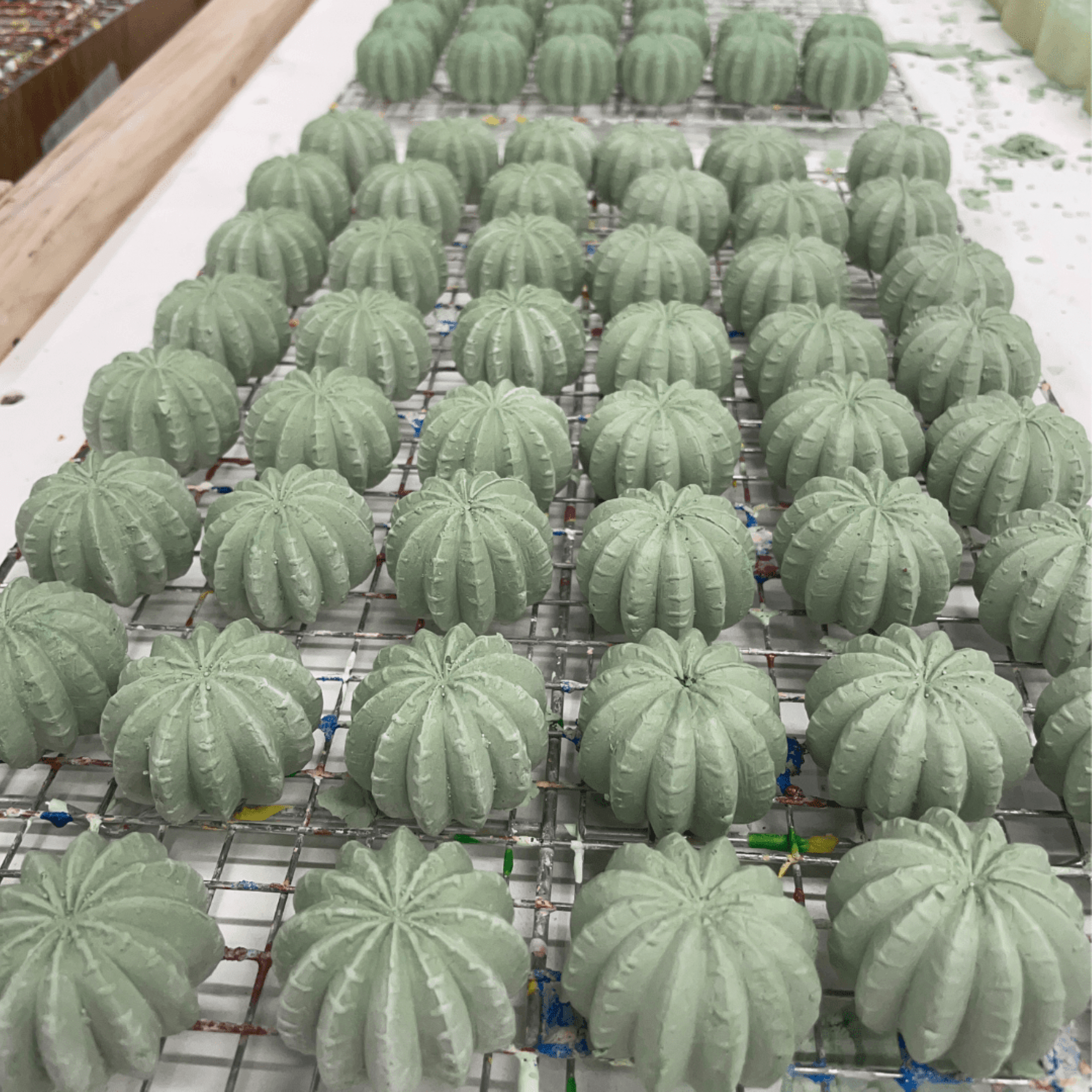 Maya & Siona's Succulents Handmade Sidewalk Chalk