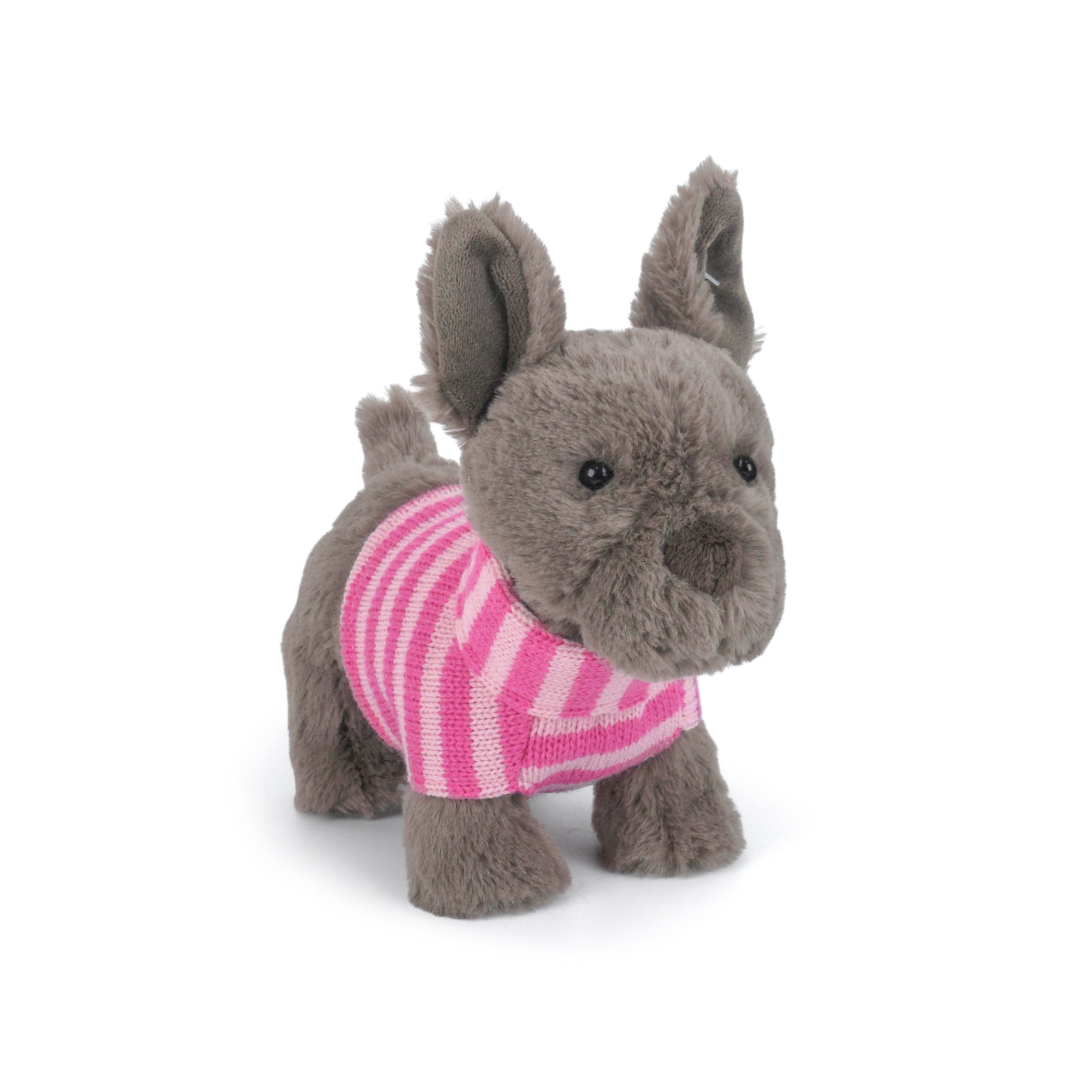 Darcy French Bulldog