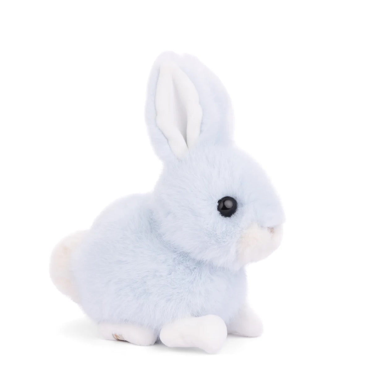 Bukowski Bears Baby Bunny : Heaven Blue