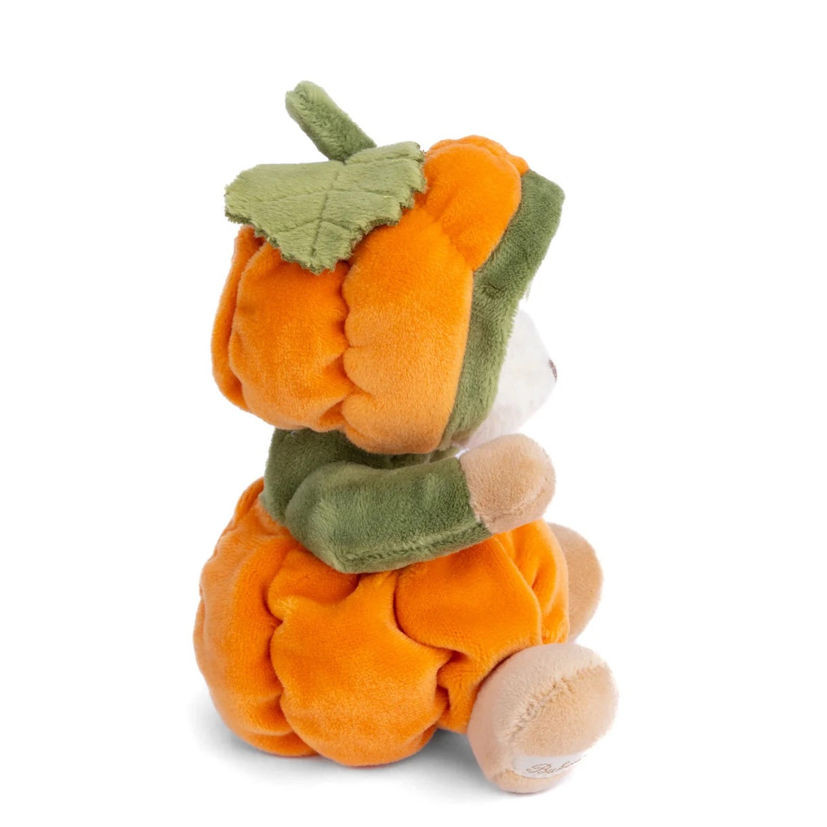 Bukowski Bears Ziggy || Pumpkin