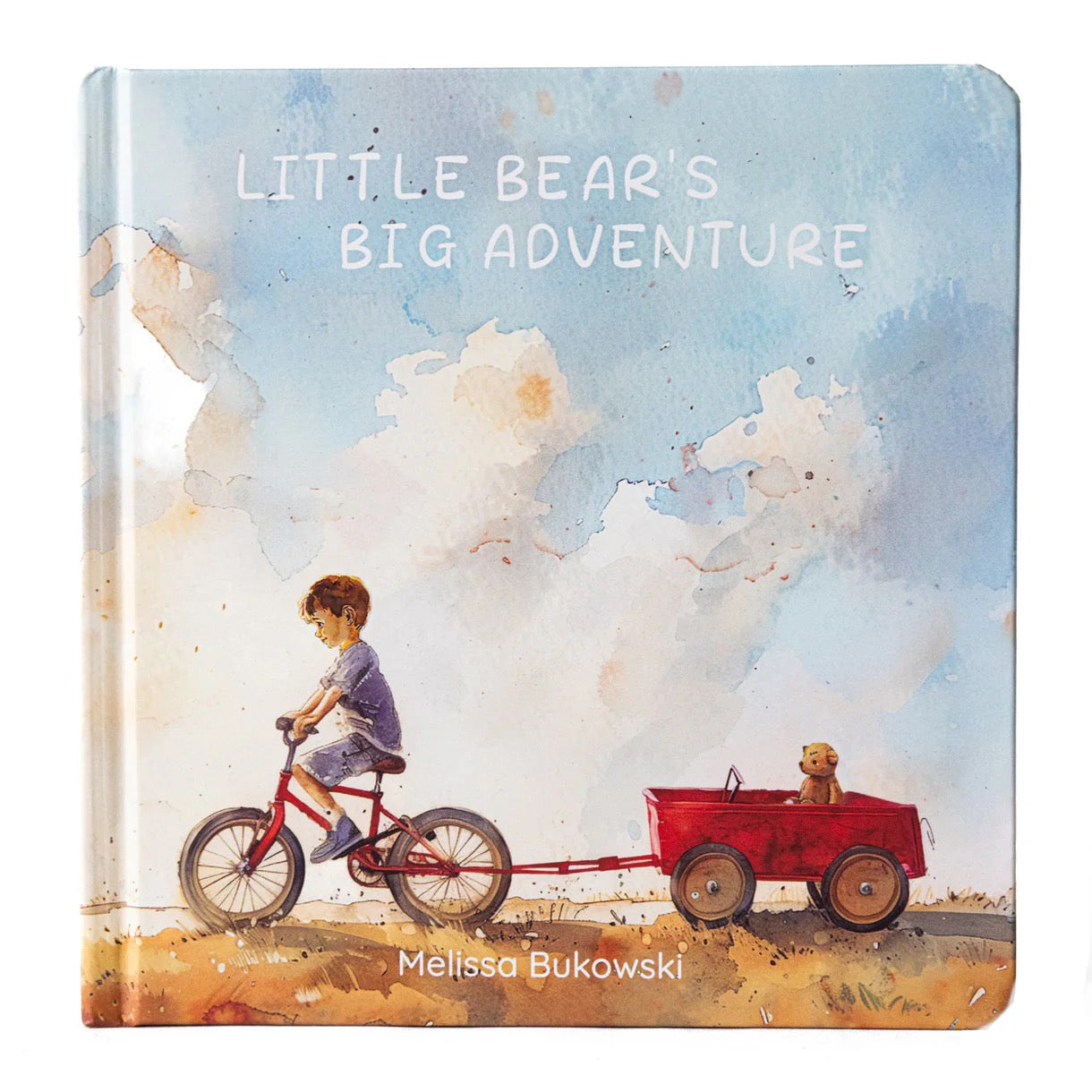Little Bears Big Adventure Board Book