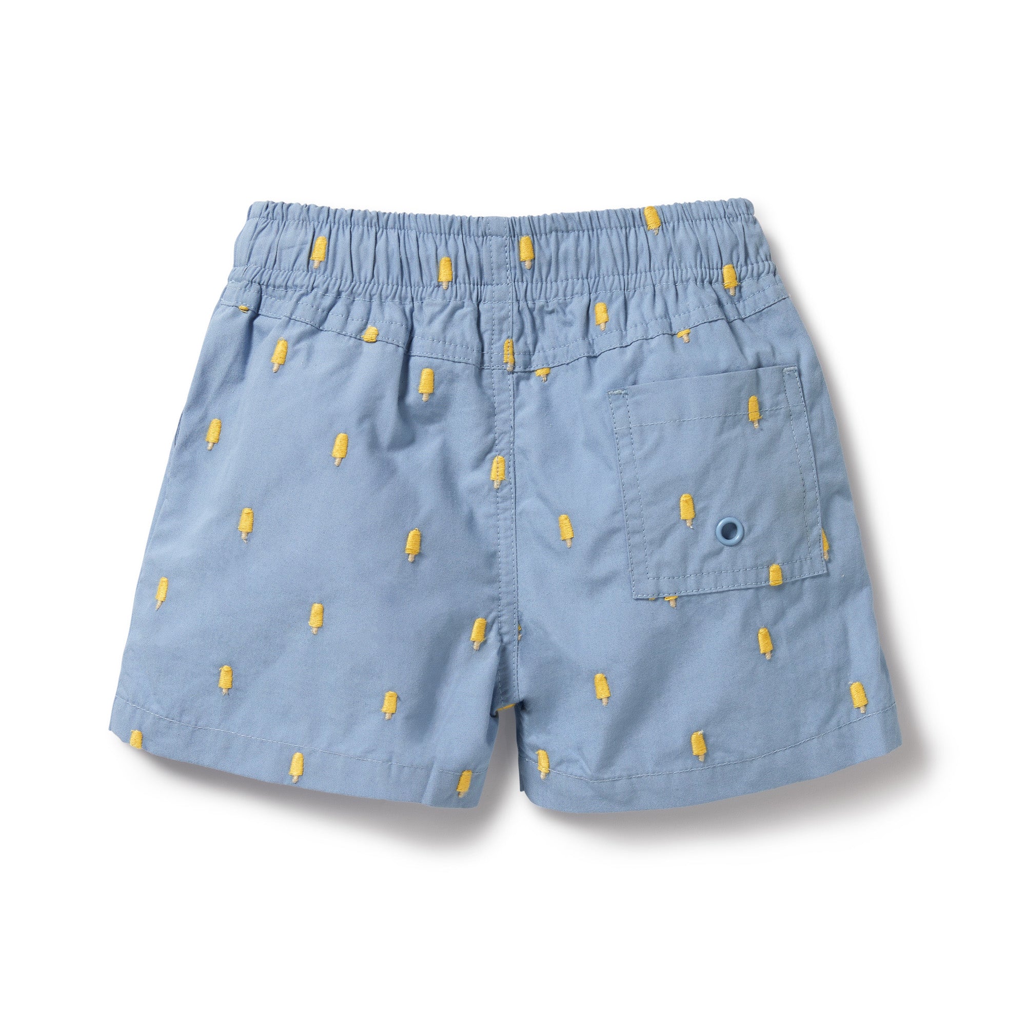 Ice Pops Swim Board Short