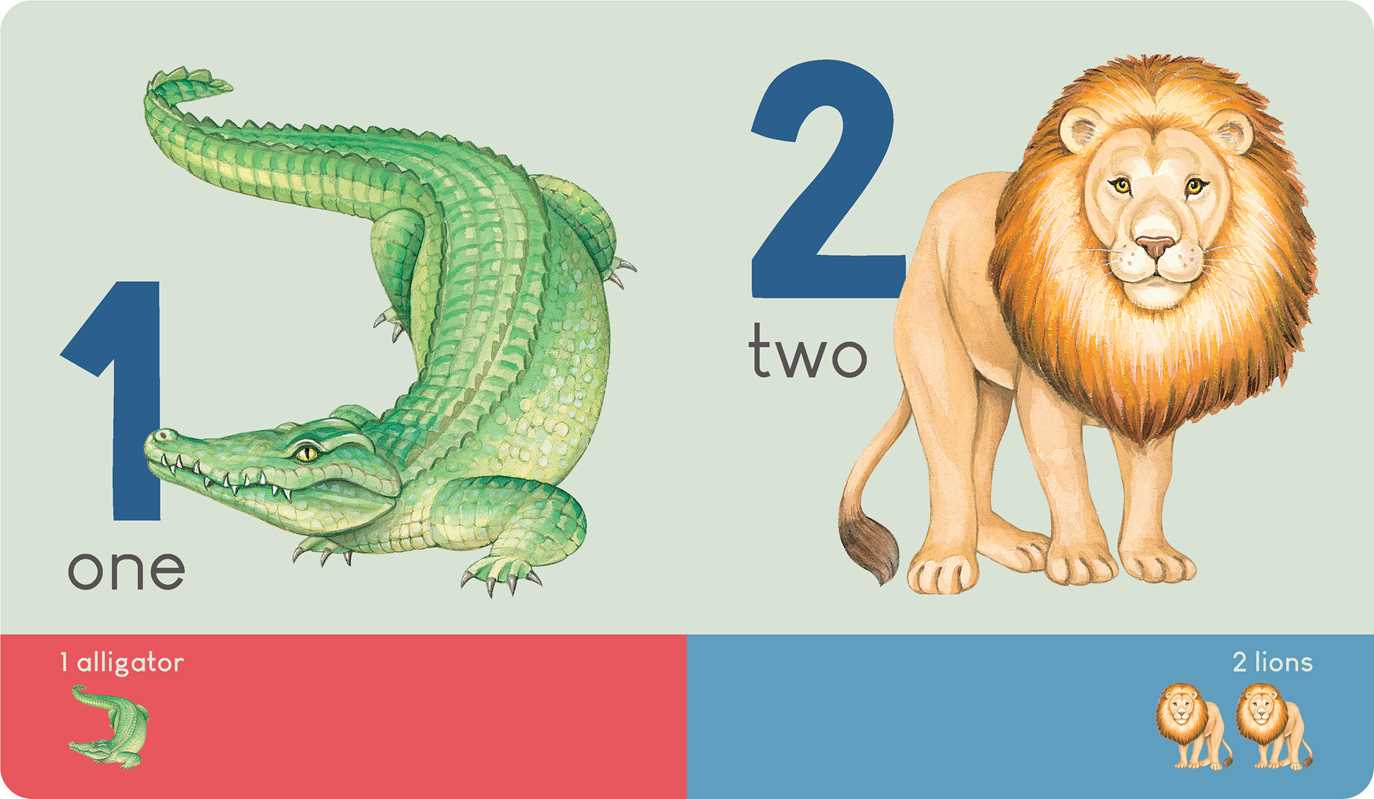 Carry Me: Animal Numbers Board Book