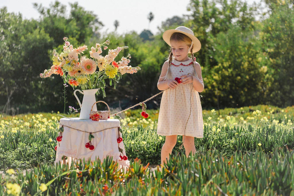 Wild Wawa Crochet Collar Dress || Red Dot/Cherry