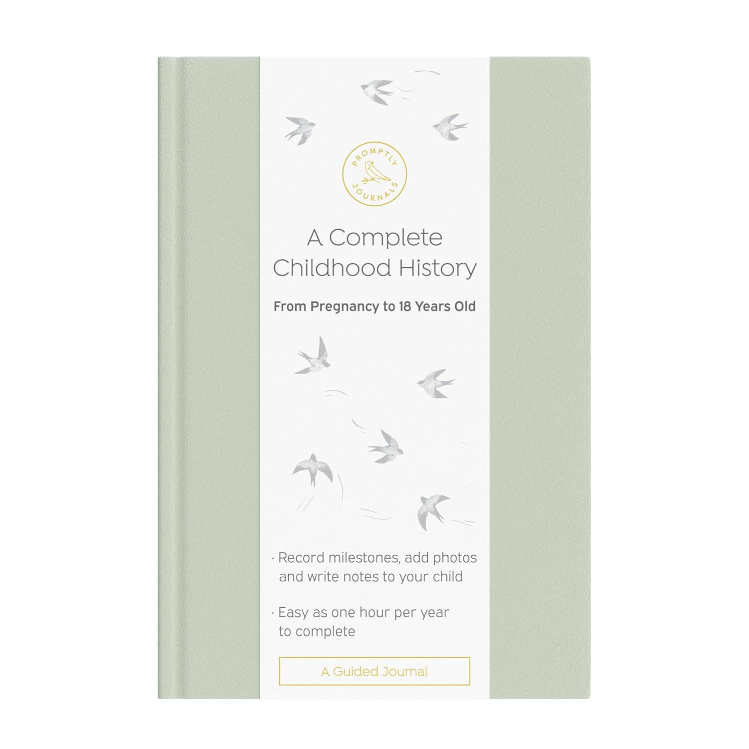 A Complete Childhood History: Pregnancy to 18 Years Journal : Grey Linen