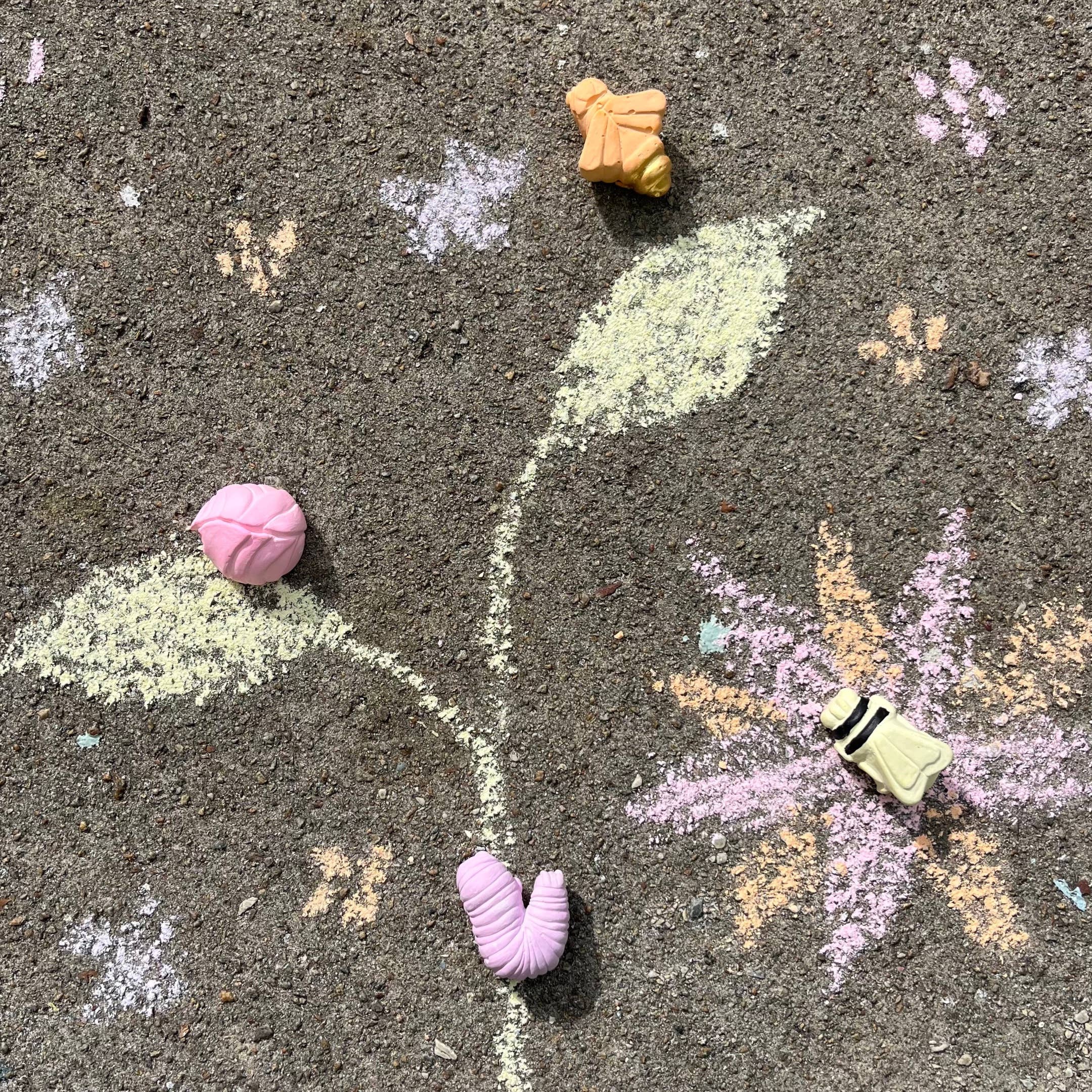 MADDY OR LIAM'S INSECTARIUM HANDMADE SIDEWALK