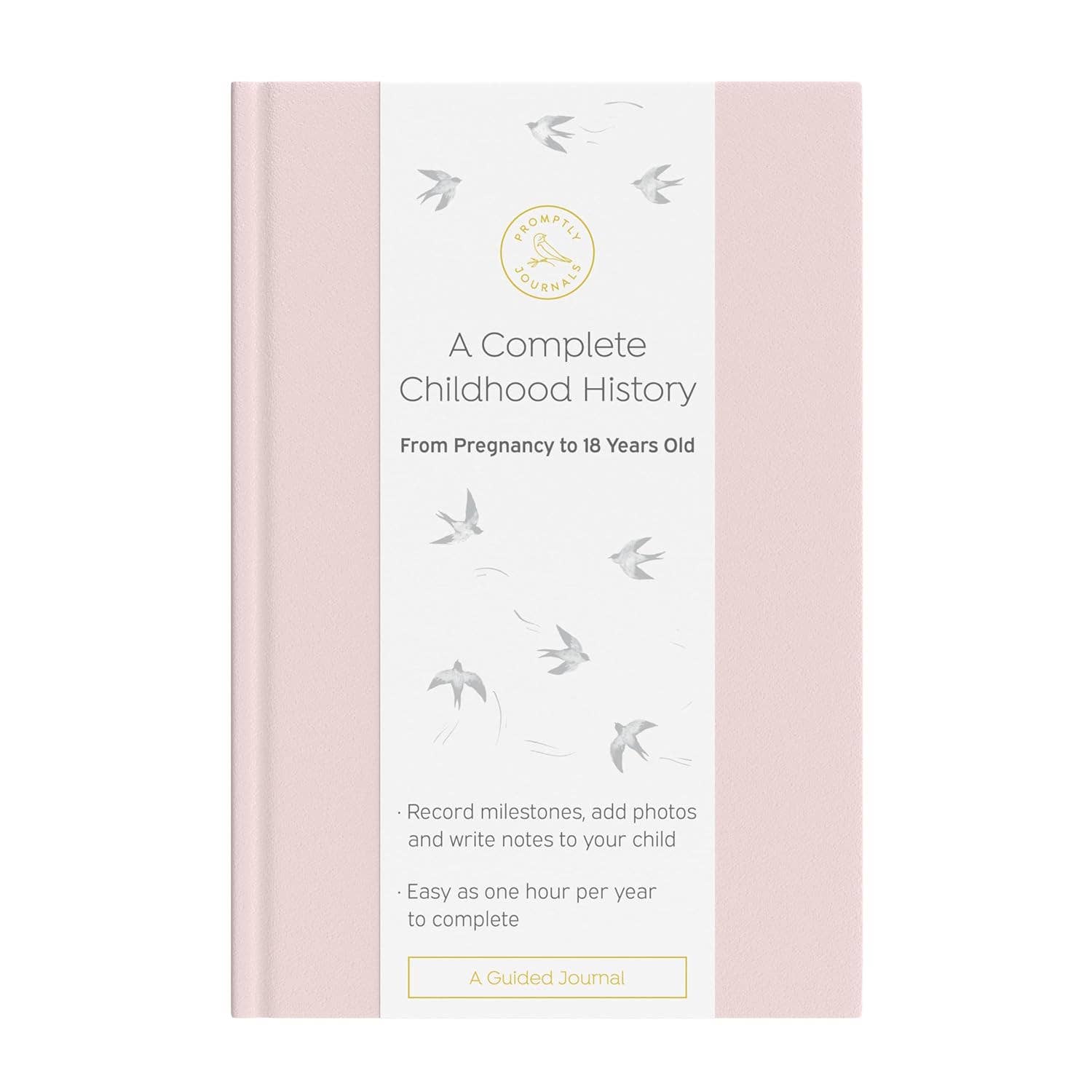 A Complete Childhood History: Pregnancy to 18 Years Journal : Dusty Rose Linen