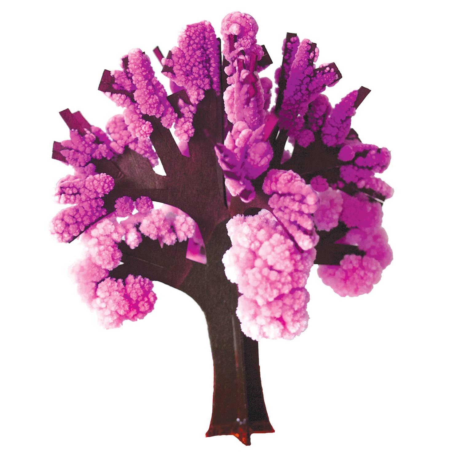 Crystal Growing Cherry Tree | 
Craft Kit Science Kit