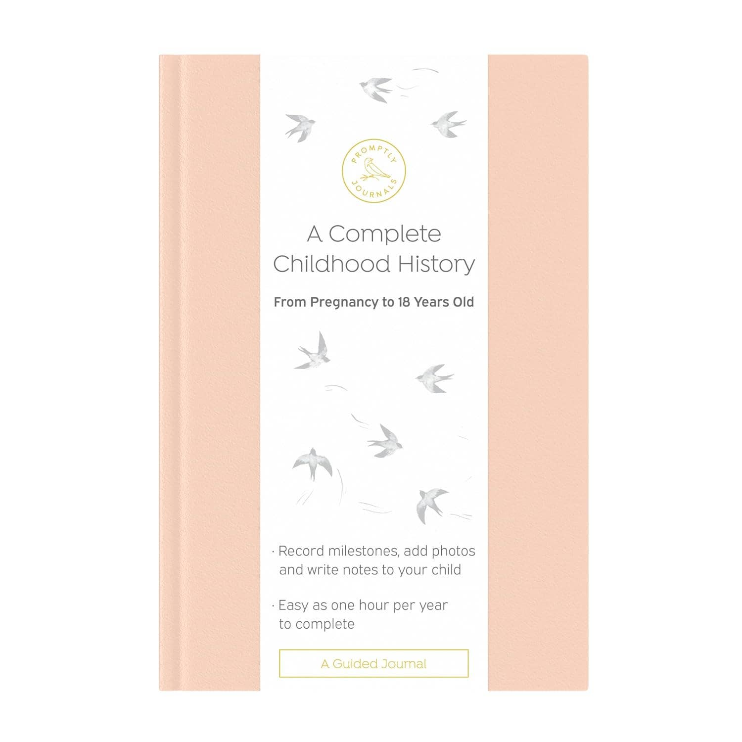 A Complete Childhood History: Pregnancy to 18 Years Journal : Grey Linen