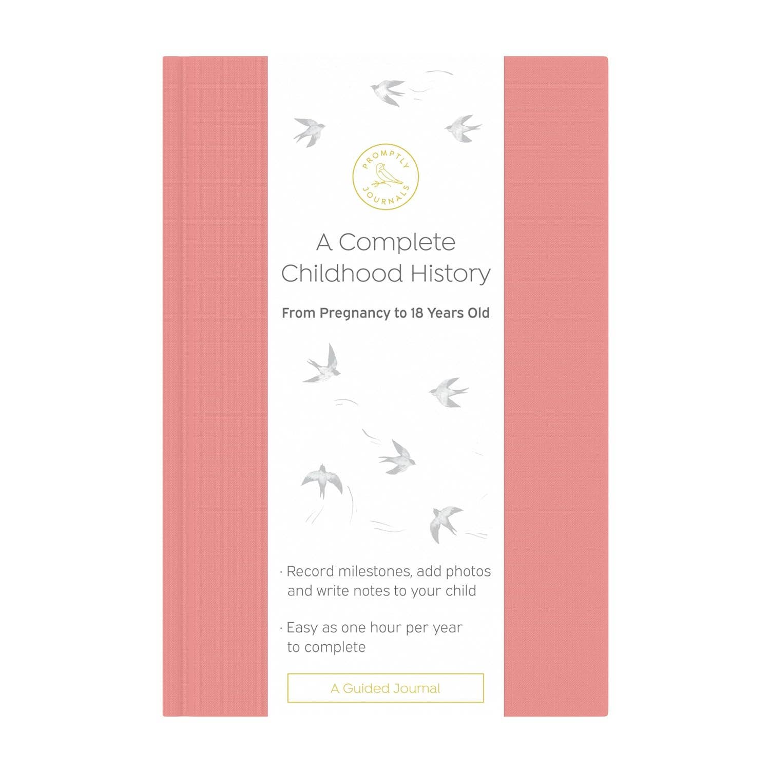 A Complete Childhood History: Pregnancy to 18 Years Journal : Grey Linen