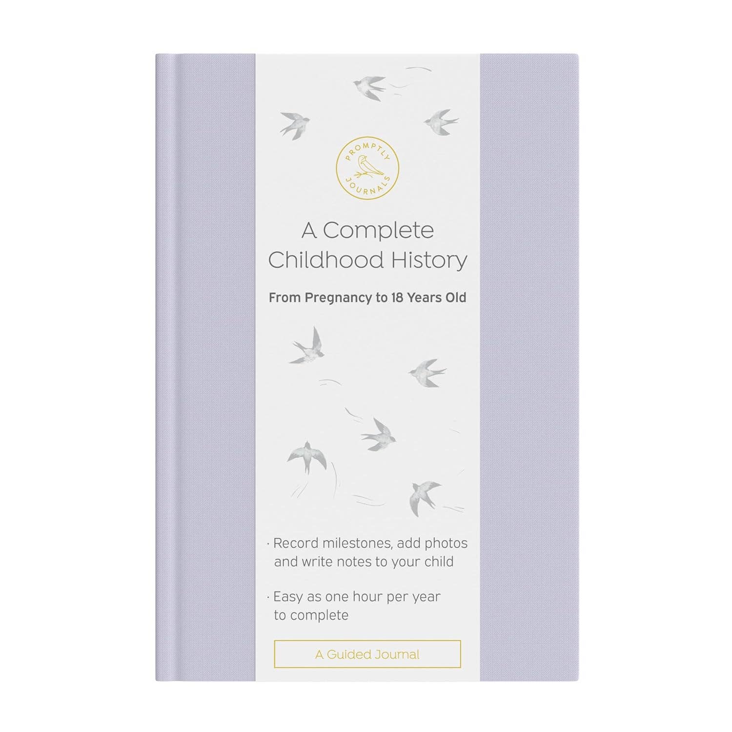 A Complete Childhood History: Pregnancy to 18 Years Journal : Grey Linen