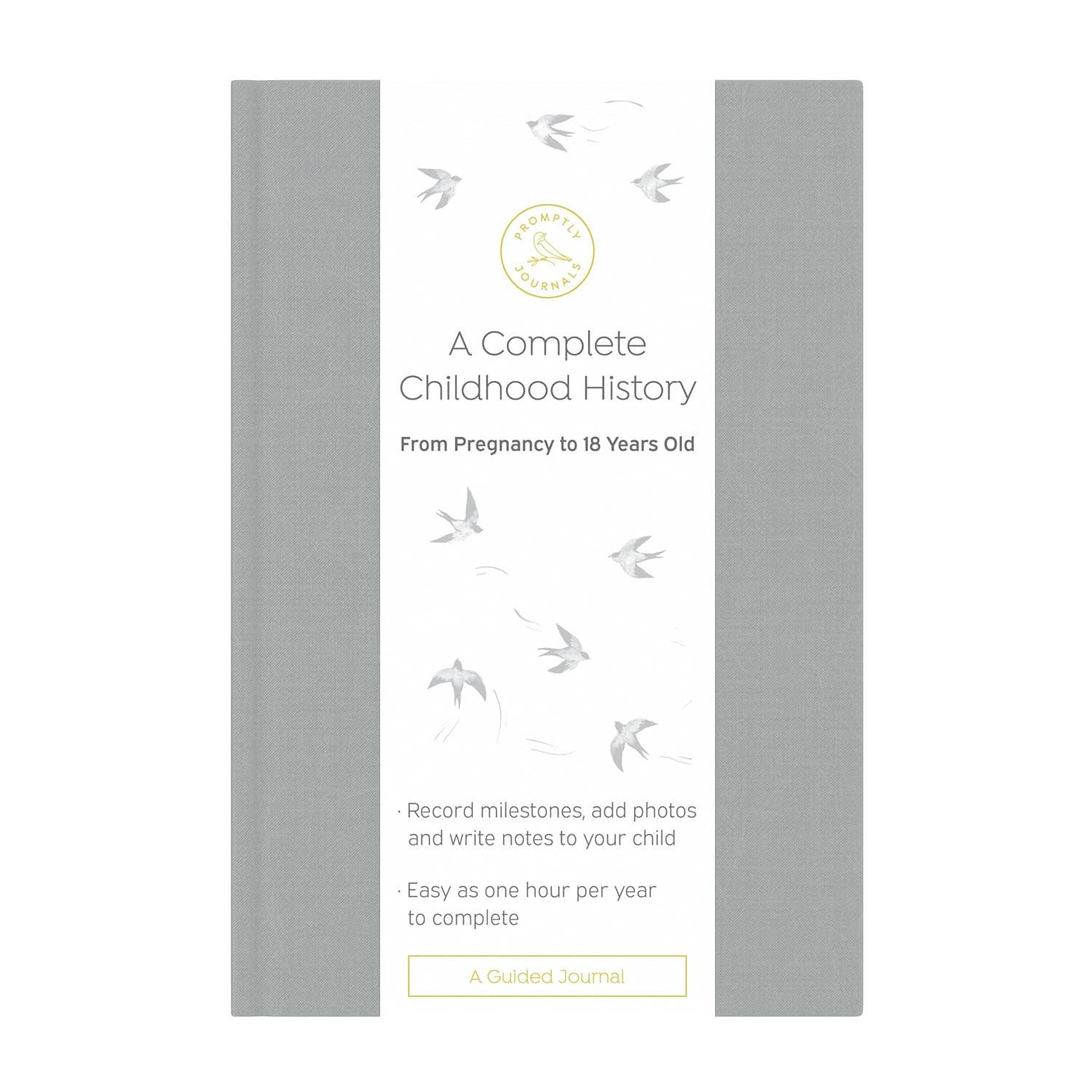 A Complete Childhood History: Pregnancy to 18 Years Journal : Grey Linen