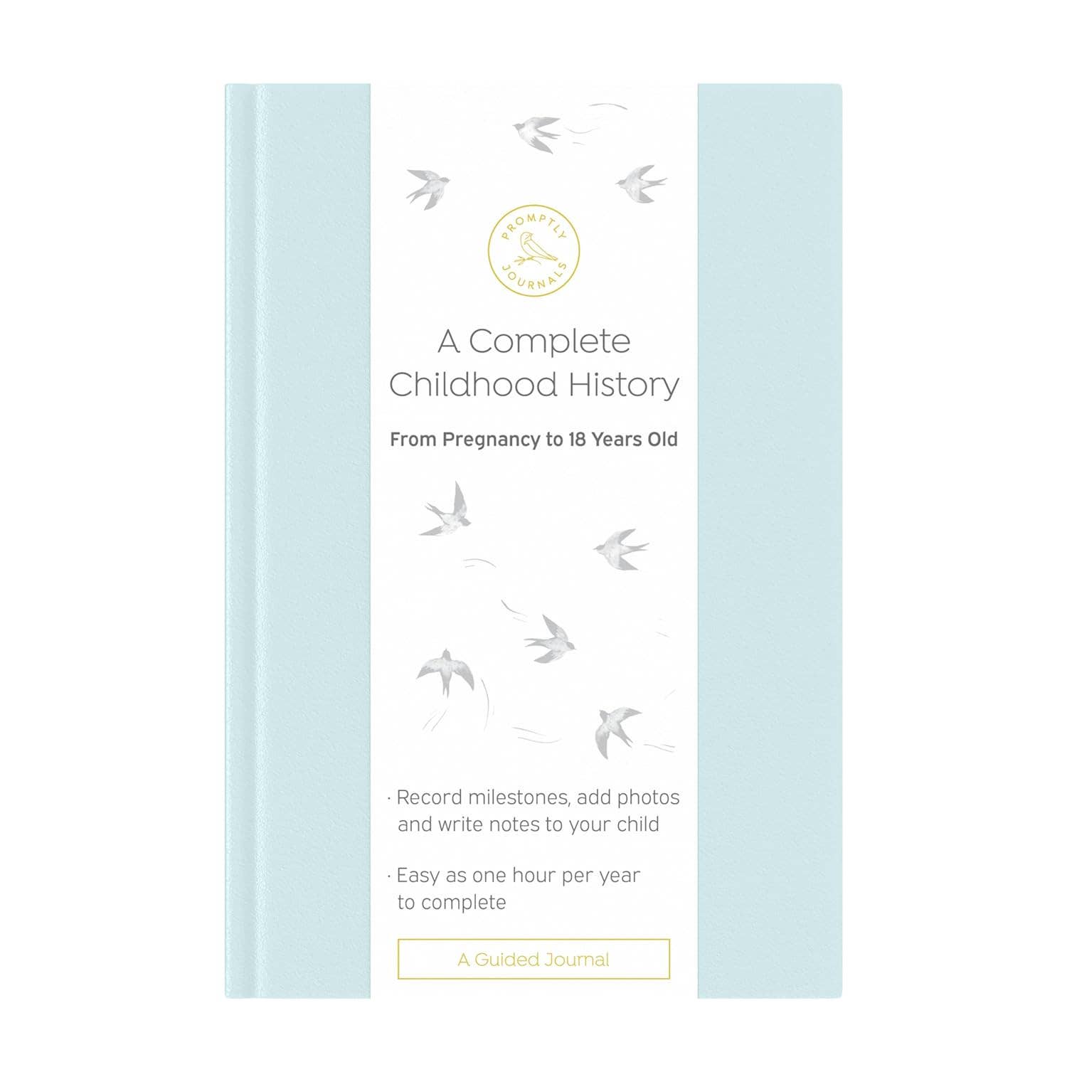 A Complete Childhood History: Pregnancy to 18 Years Journal : Dusty Rose Linen