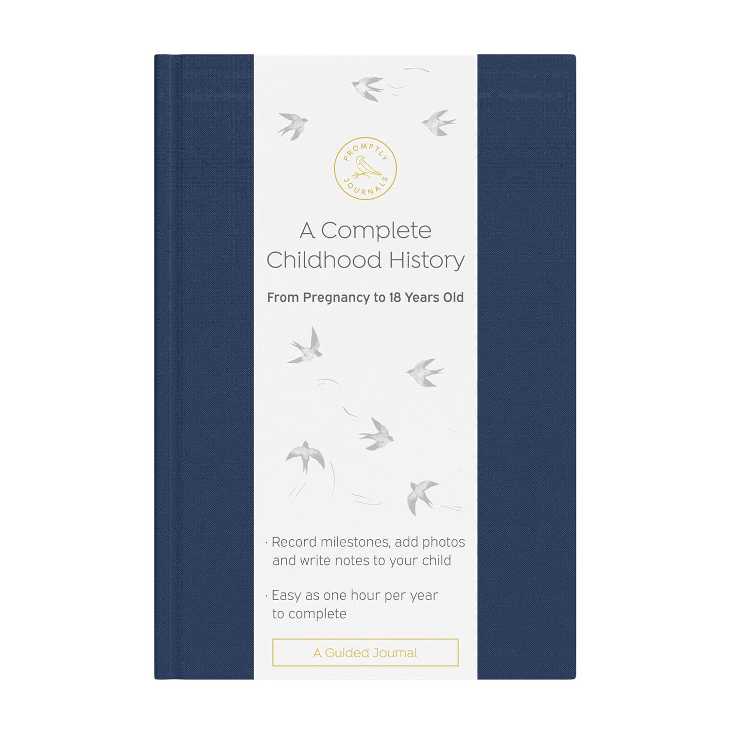 A Complete Childhood History: Pregnancy to 18 Years Journal : Grey Linen