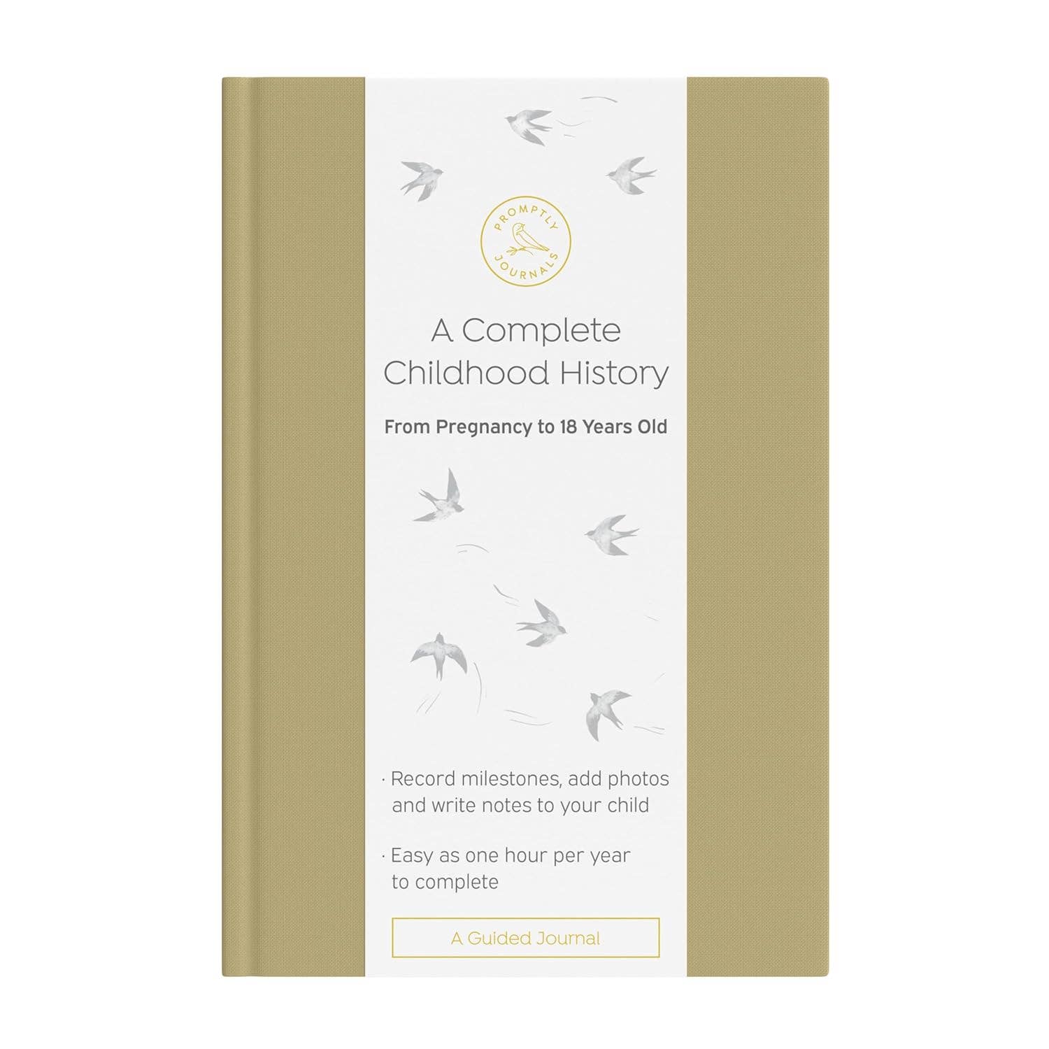 A Complete Childhood History: Pregnancy to 18 Years Journal : Grey Linen