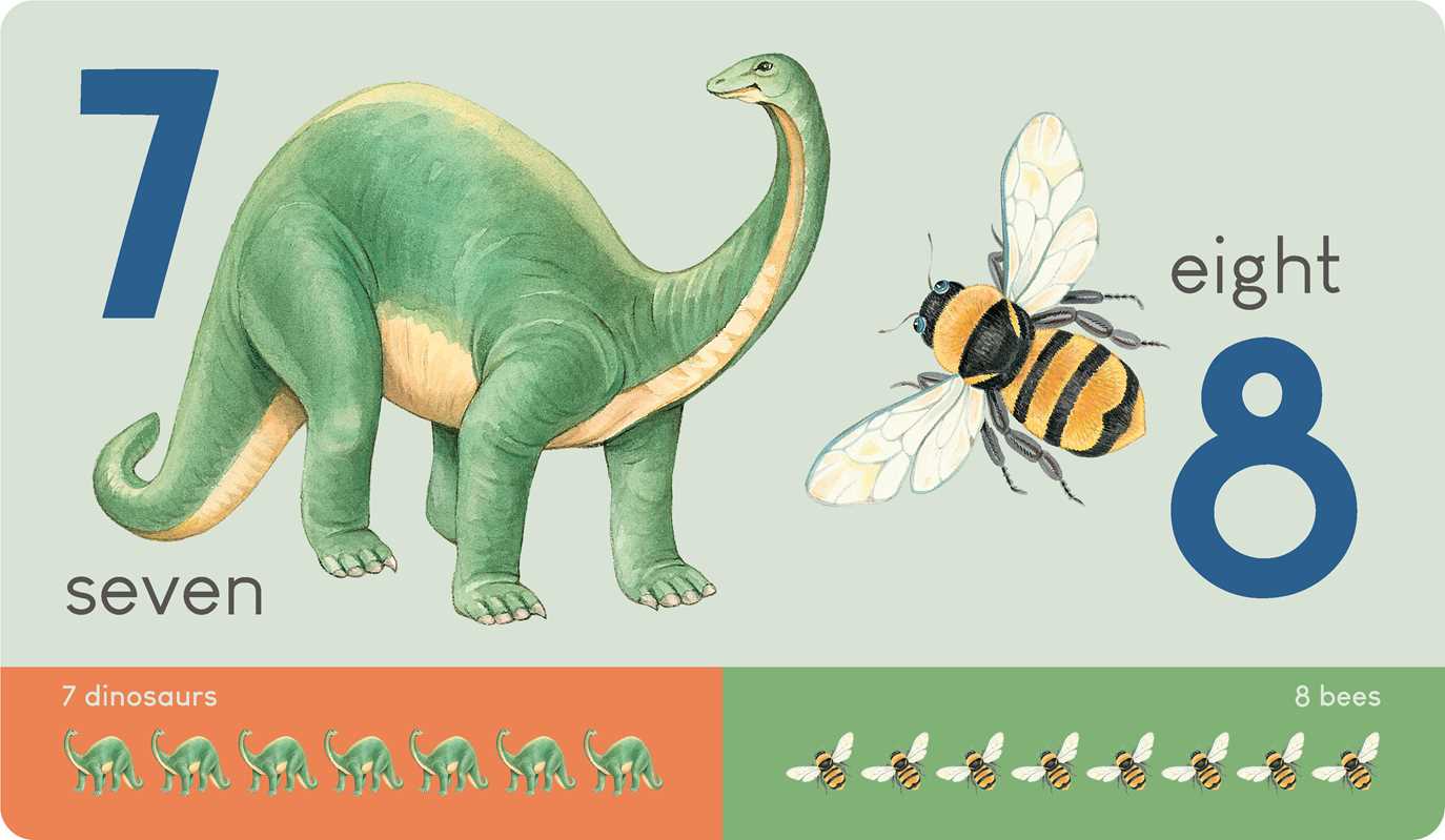 Carry Me: Animal Numbers Board Book