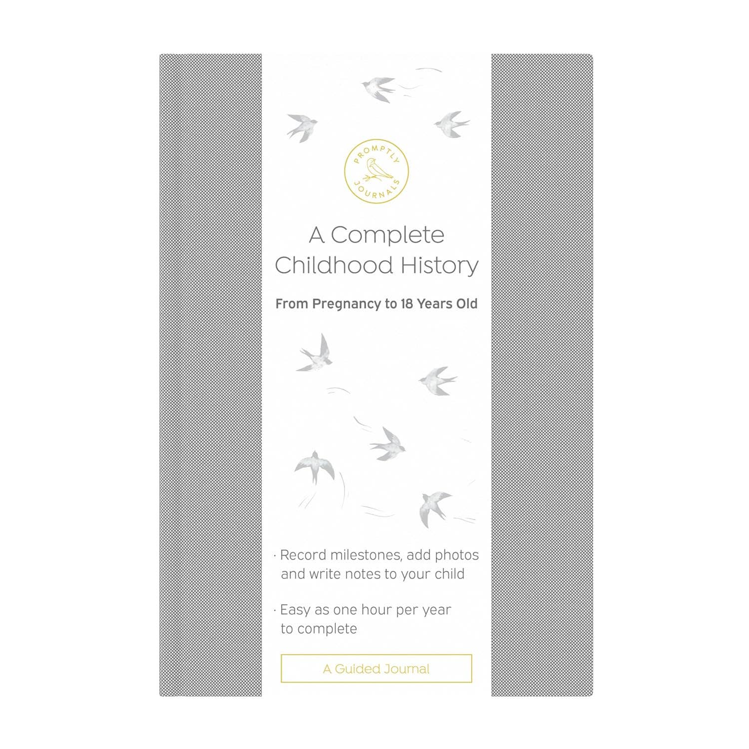 A Complete Childhood History: Pregnancy to 18 Years Journal : Grey Linen