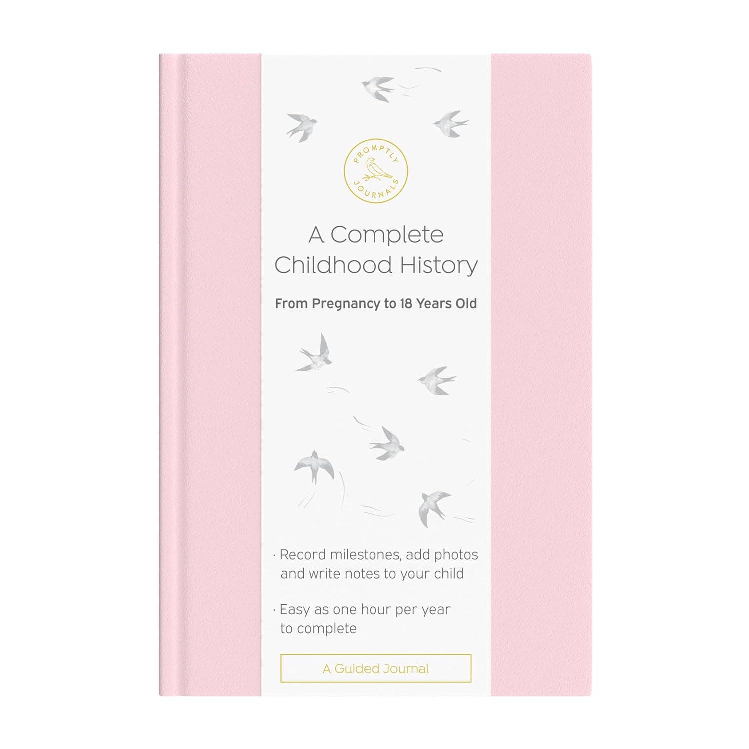 A Complete Childhood History: Pregnancy to 18 Years Journal : Dusty Rose Linen