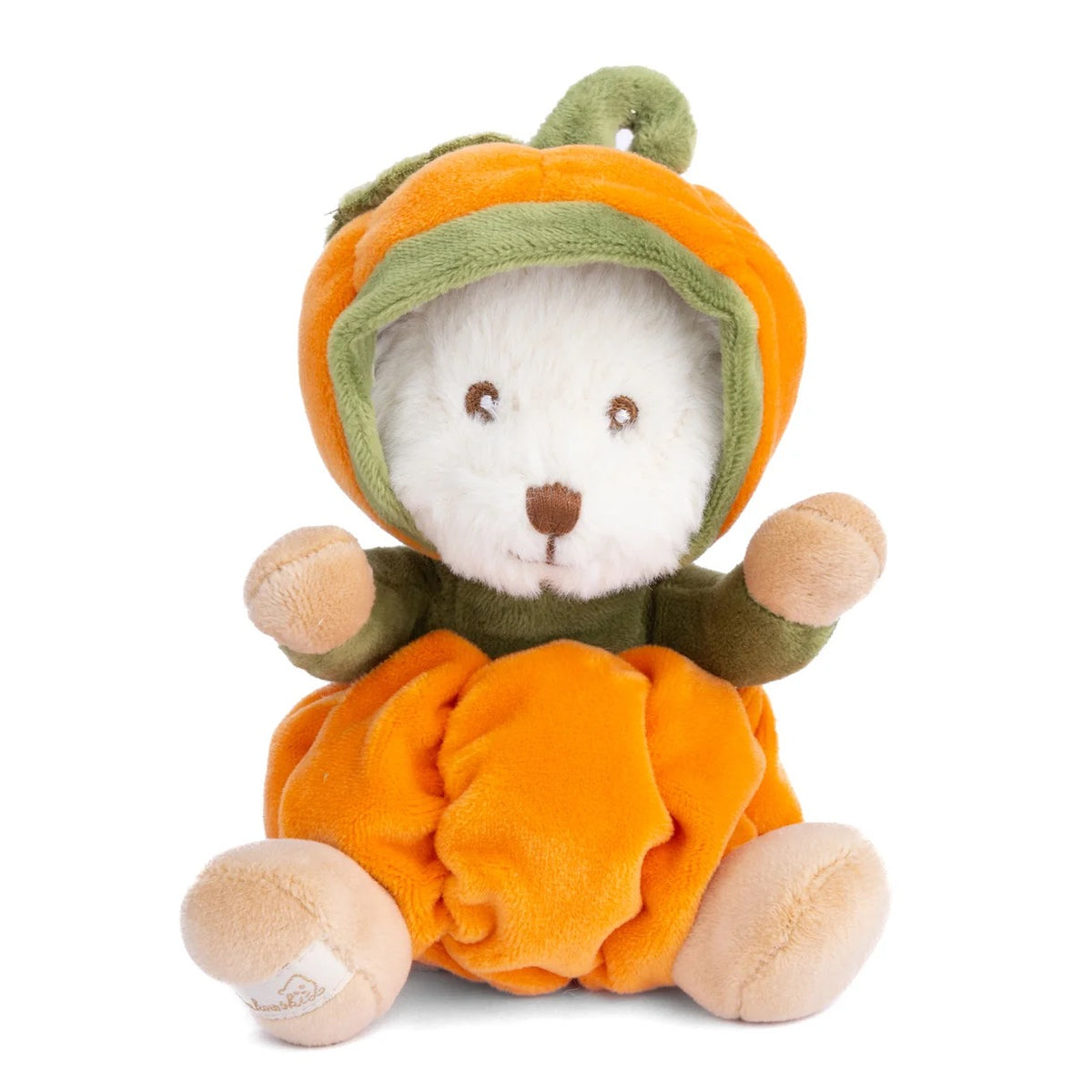 Bukowski Bears Ziggy || Pumpkin