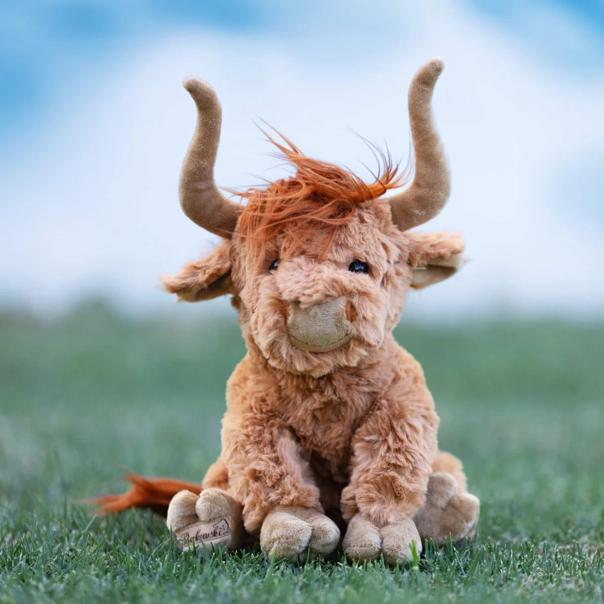 Henderson The Highland Cow