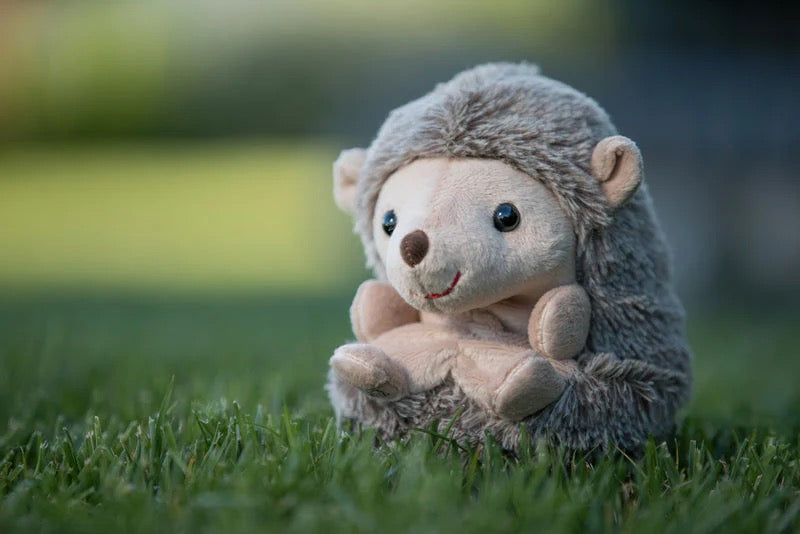 Sweet Hubert the Hedgehog