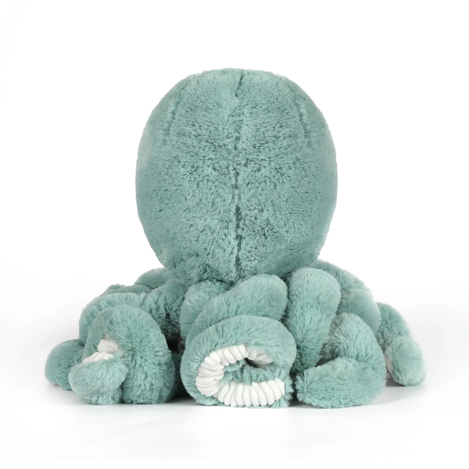 REEF OCTOPUS