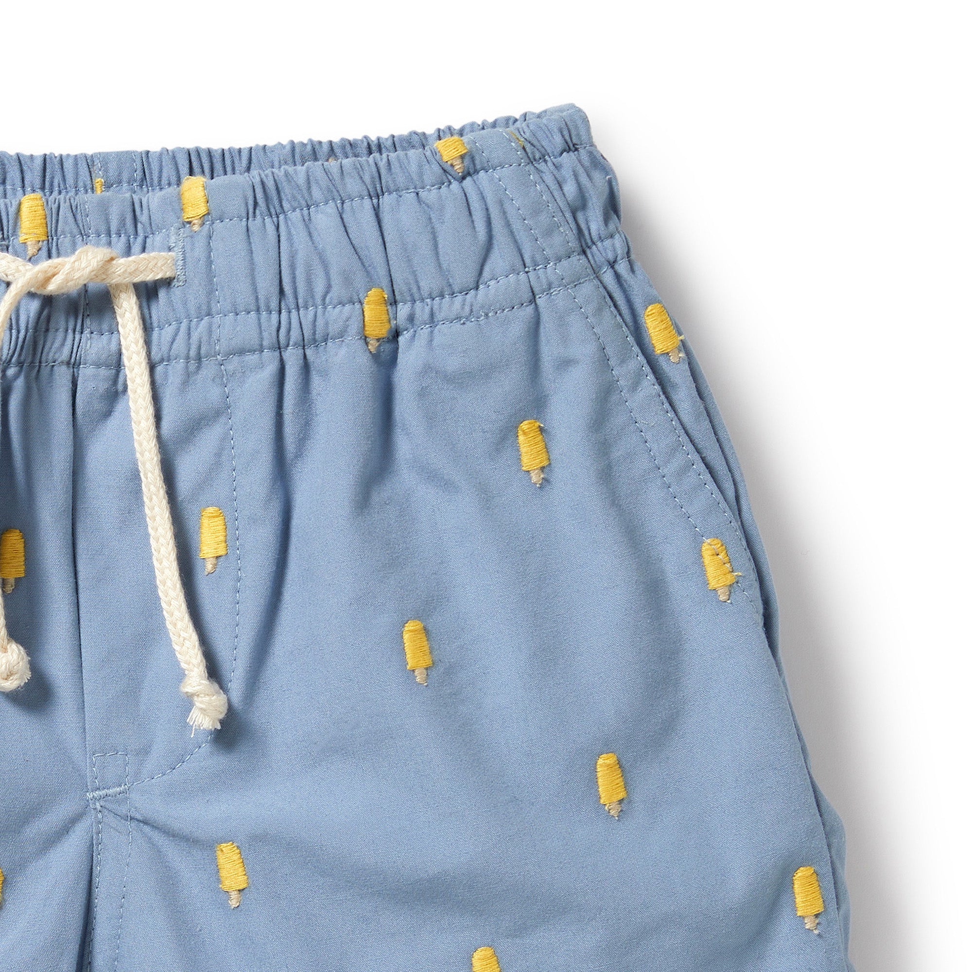 Ice Pops Swim Board Short
