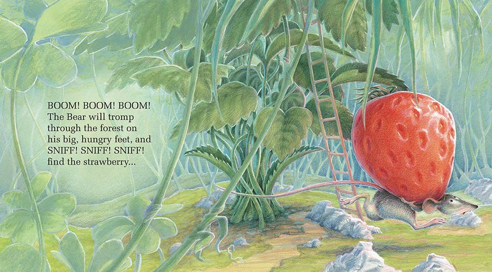 Little Mouse, Red Strawberry & Big Hungry Bear Board Book