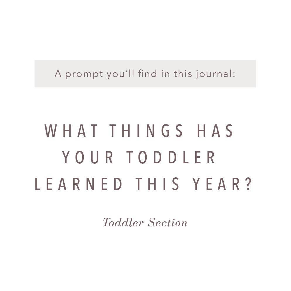 A Complete Childhood History: Pregnancy to 18 Years Journal : Grey Linen