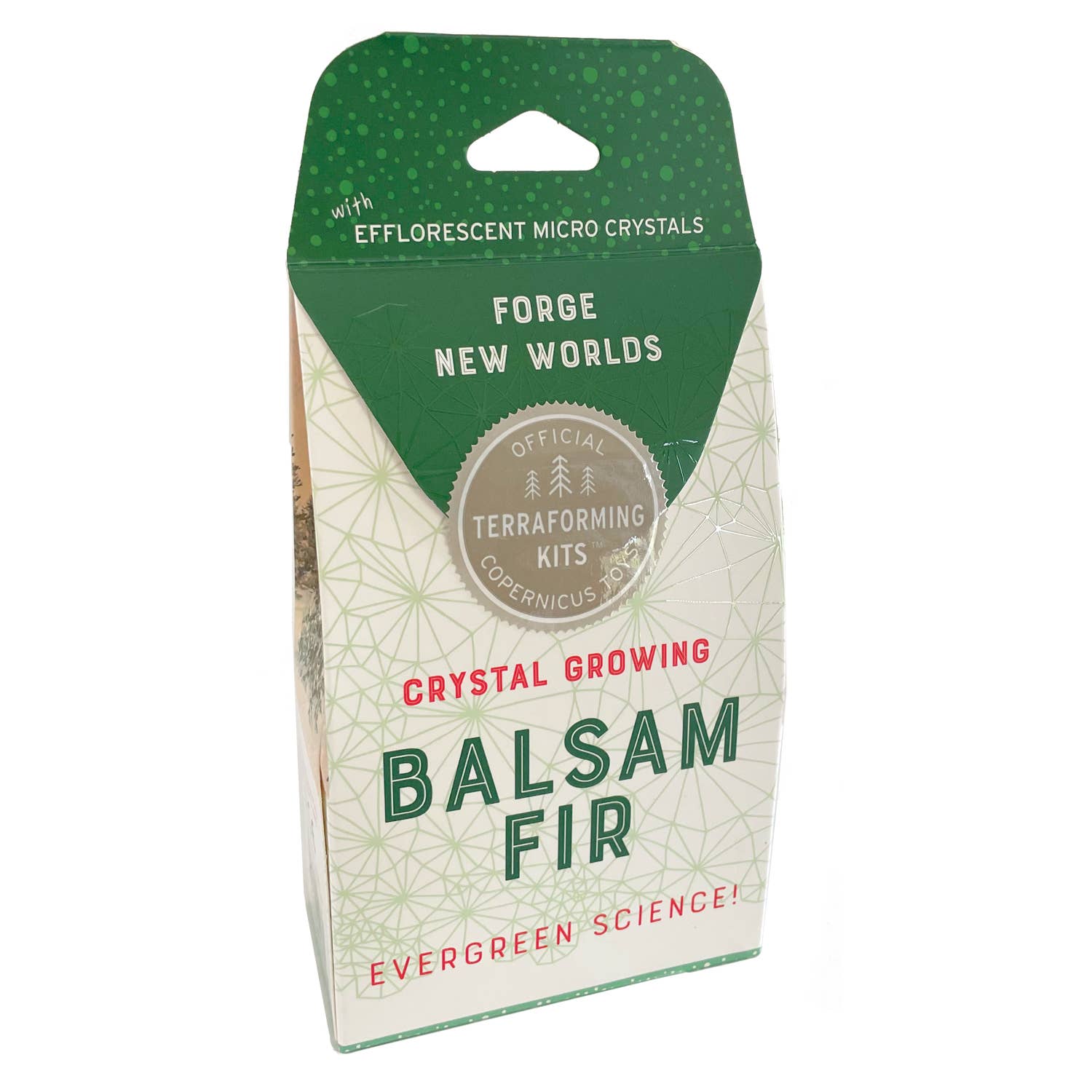 Crystal Growing Balsam Fir |
Craft kit Science kit Christmas
